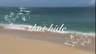 Ned Miller - Two Voices, Two Shadows, Two Faces