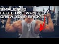 BACK WORKOUT FOR BEGINNERS AND INTERMEDIATE LIFTERS