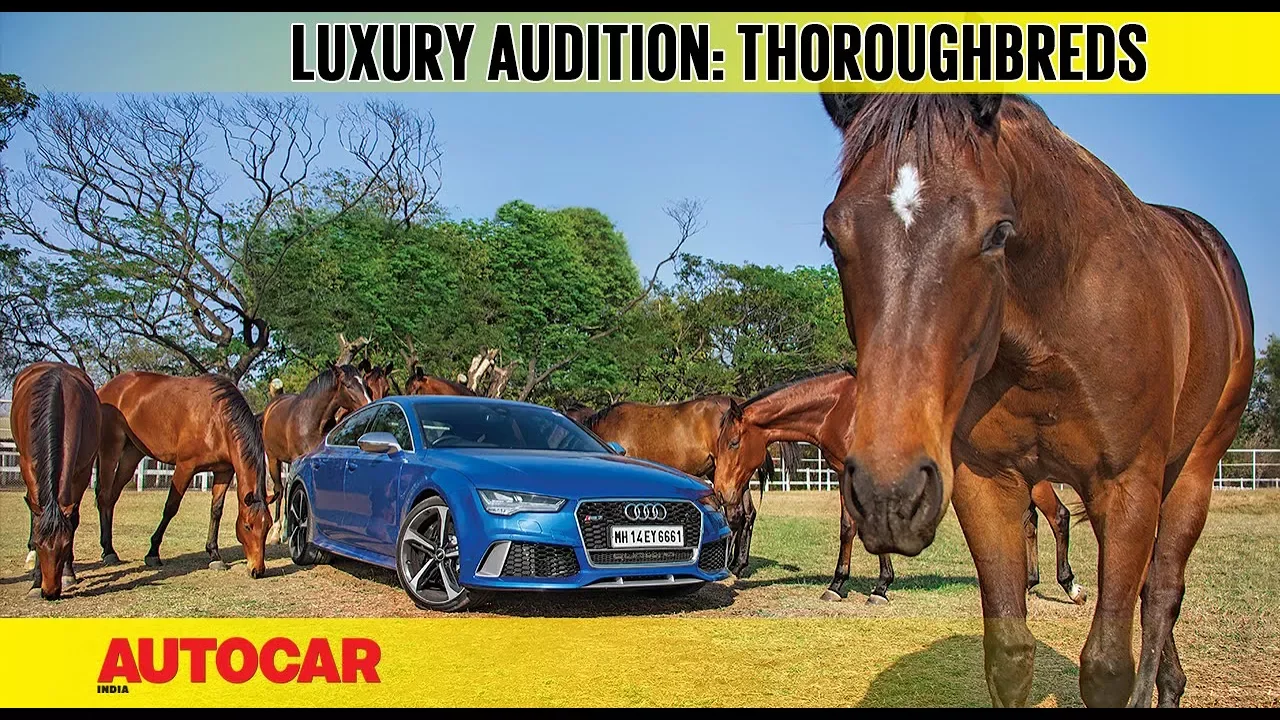 The Luxury Audition | Part 3 | Thoroughbreds