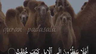 Malayalam quran whatsapp status Malayalam quran whatsapp status