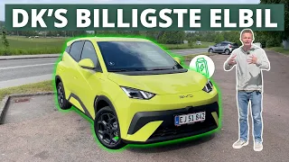 DANMARKS BILLIGSTE ELBIL! BYD Dolphin Surf Præsentation
