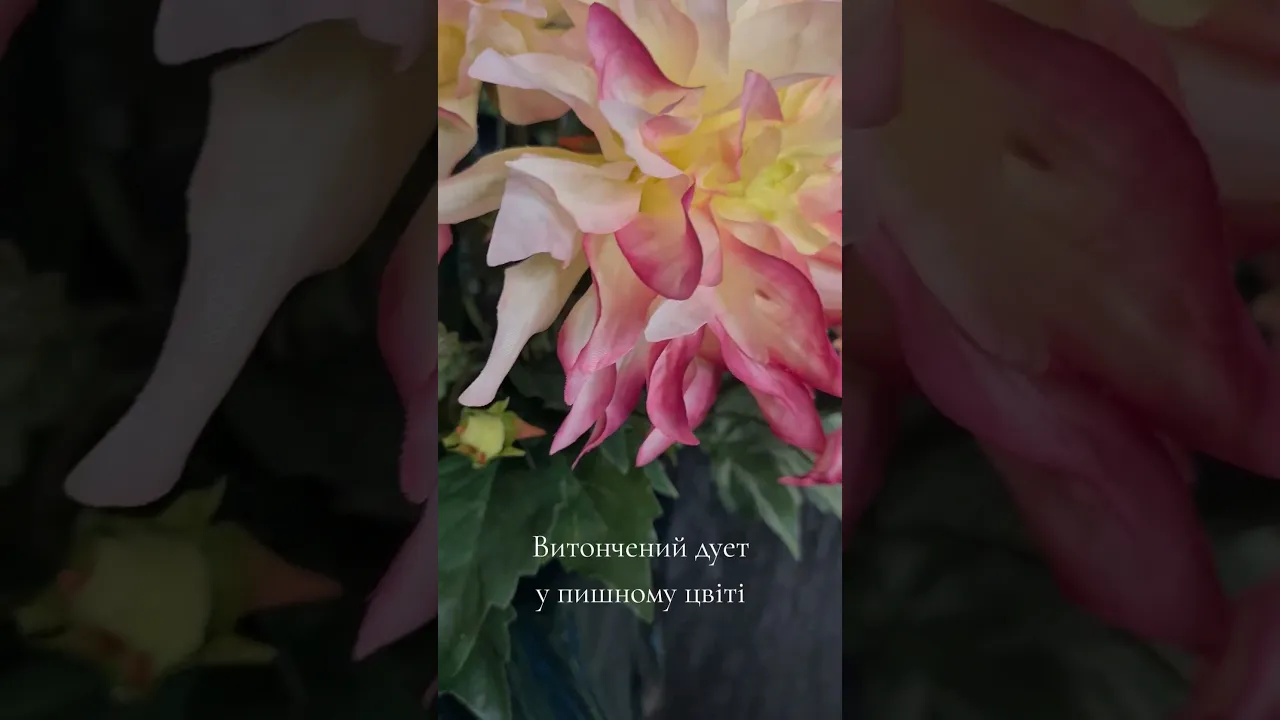 Artificial flower Dahlia Pink H60cm NKoop EEG