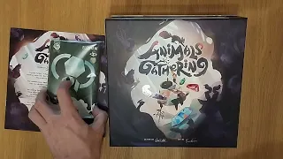 Animals Gathering #unboxing #teaser #boardgame #tabletop AmassGames #games #game #cards #cute