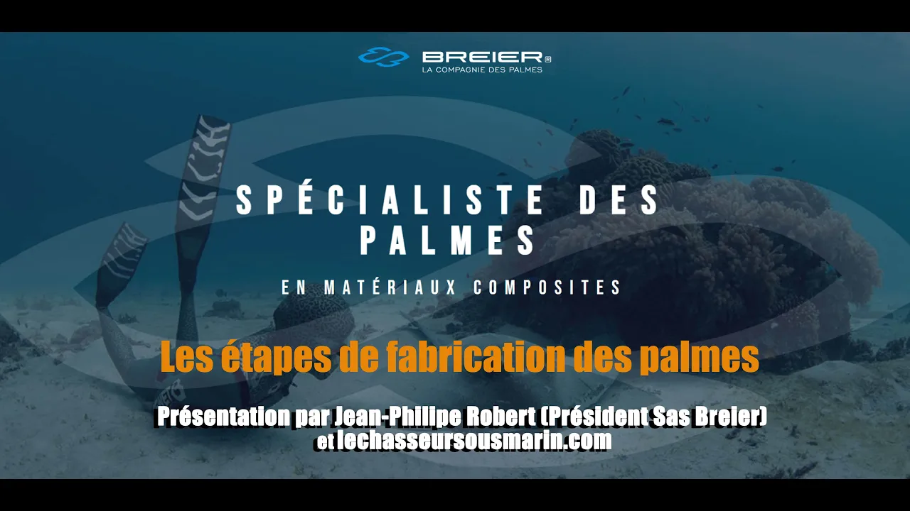 Vignette de la vidéo