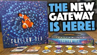 Shallow Sea - Is This the Best Gateway Game Right Now?