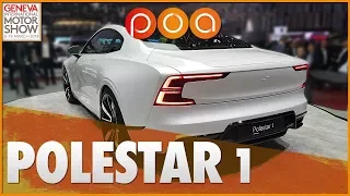 POLESTAR 1 : La star venue du froid !