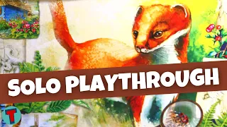 Meadow Board Game | Solo Playthrough | Learn to Play | Totally Tabled