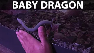 Road trip with Model Y to Slovenia part 7