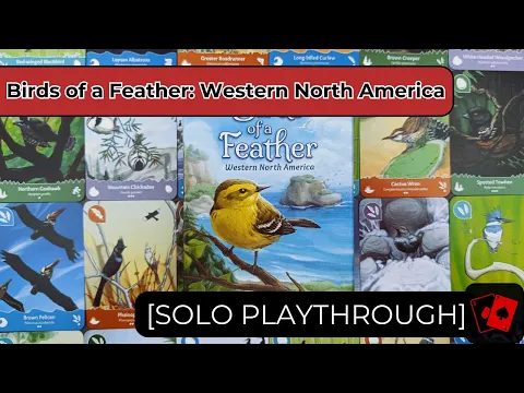 Solo Playthrough | Birds of a Feather: Western North America