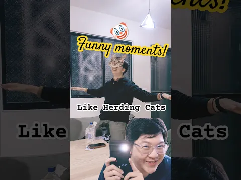 ? Like Herding Cats - Funny Moments ?