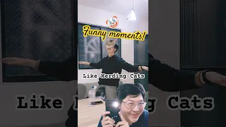 ? Like Herding Cats - Funny Moments ?