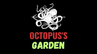 Octopus's Garden - Unboxing ASMR