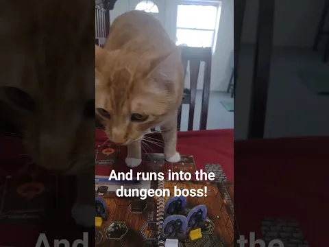 Fiona tries to play Gloomhaven