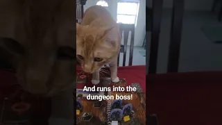 Fiona tries to play Gloomhaven