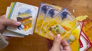 Unboxing the 2024 edition of Hoard