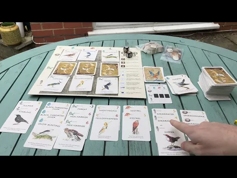 How to Play The Game of Birds (KOSMOS) in 4 minutes