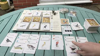 How to Play The Game of Birds (KOSMOS) in 4 minutes