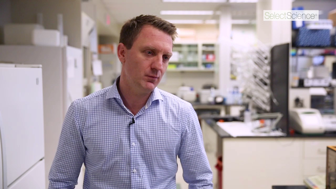 Using CFX Maestro Software to Advance qPCR Research