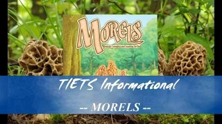 Morels Review - TIETS Informational - TI #41