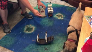 PIRATES ON THE HIGH SEAS - Board Game Review