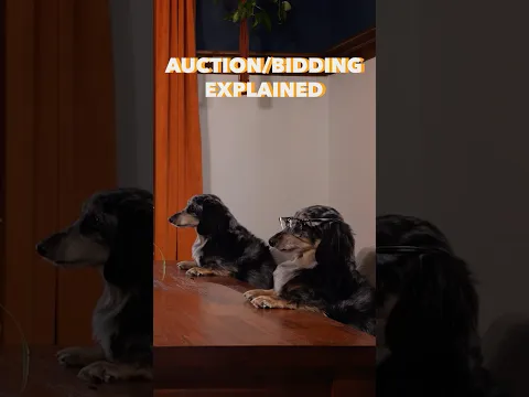 Auction/Bidding Games Explained…By Dogs