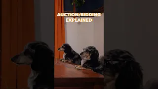 Auction/Bidding Games Explained…By Dogs