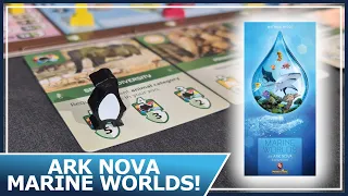 Ark Nova Marine Worlds Review - Is It Needed?