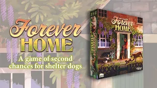 Forever Home Board Game 🐕🏠 Teaser Trailer