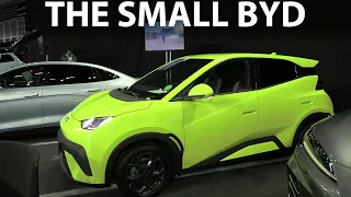 BYD Dolphin Surf first impressions at Green Energy Fair