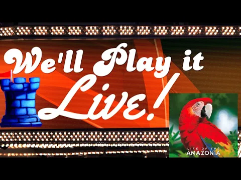 We'll Play It Live - Life of the Amazonia