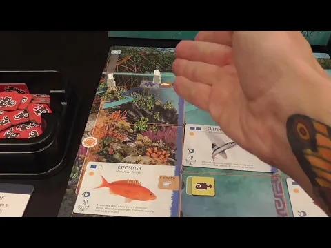 Video Review