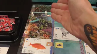 Video Review