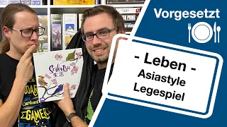 #Vorgesetzt - Seikatsu (HUCH! 2018) | kann das Spiel noch was?