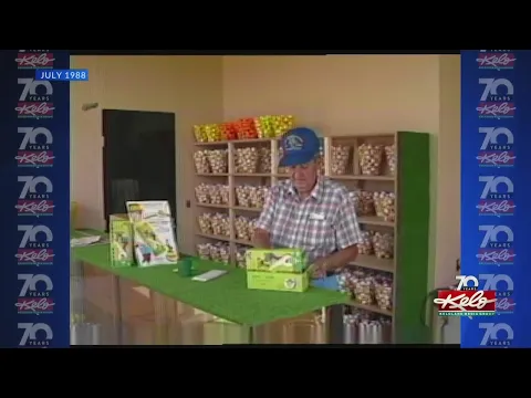 Flashback Friday: Shake around dice golf