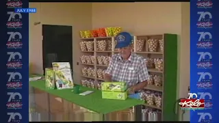 Flashback Friday: Shake around dice golf