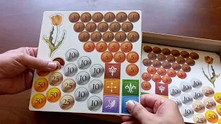 Unboxing Tulip Bubble (No Talking)