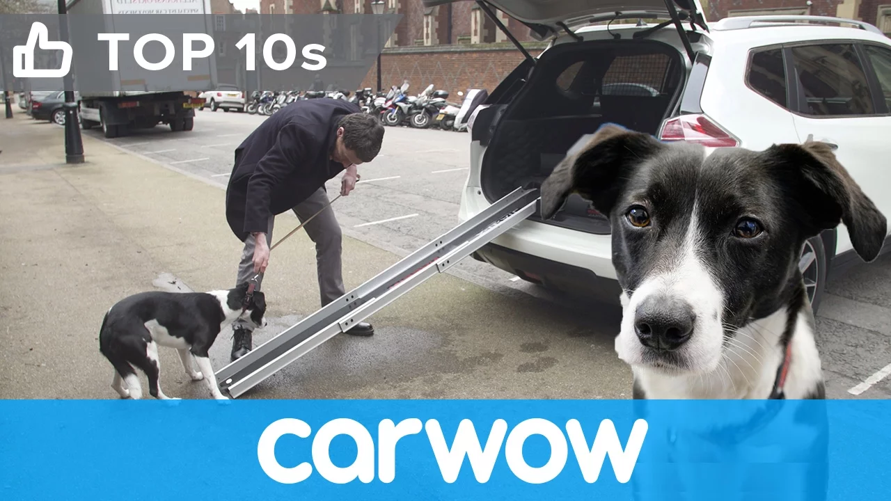 Nissan X-Trail 4Dogs - see its cool canine-friendly features | Top10s