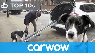 Nissan X-Trail 4Dogs - see its cool canine-friendly features | Top10s