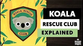 Koala Rescue Club Explained in 4 minutes