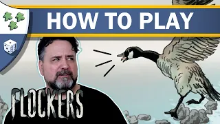 How to play Flockers