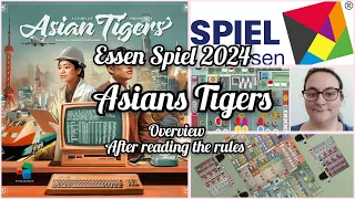 Overview after reading the rules