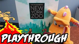 New York Zoo - Playthrough