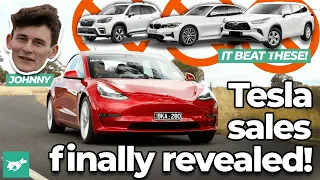 Tesla sales finally revealed! | Model 3 beat many popular non-EVs in 2021 | Chasing Cars