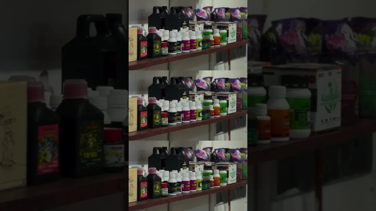 Video de Dr Growshop