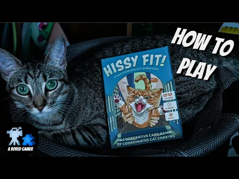 How to Play Hissy Fit!