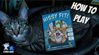 How to Play Hissy Fit!