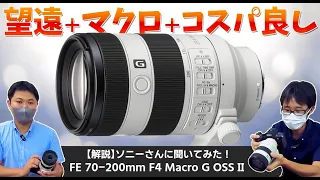 関連記事サムネイル