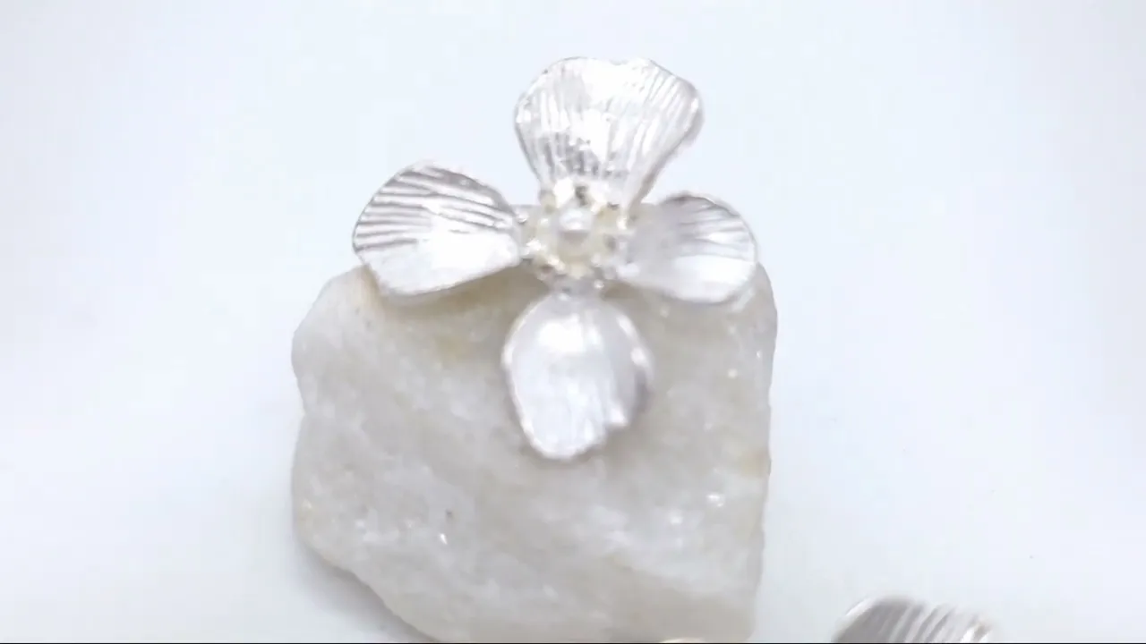 Video de Chic Point Accesorios | Moda, Bijouterie y Carteras Únicas