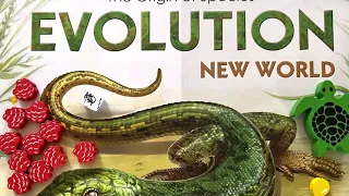 Evolution: New World & Butterfly Effect (Reboxing) | Does Is Fit?