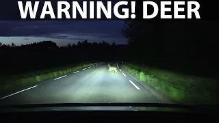 Lexus RZ 450e headlights test